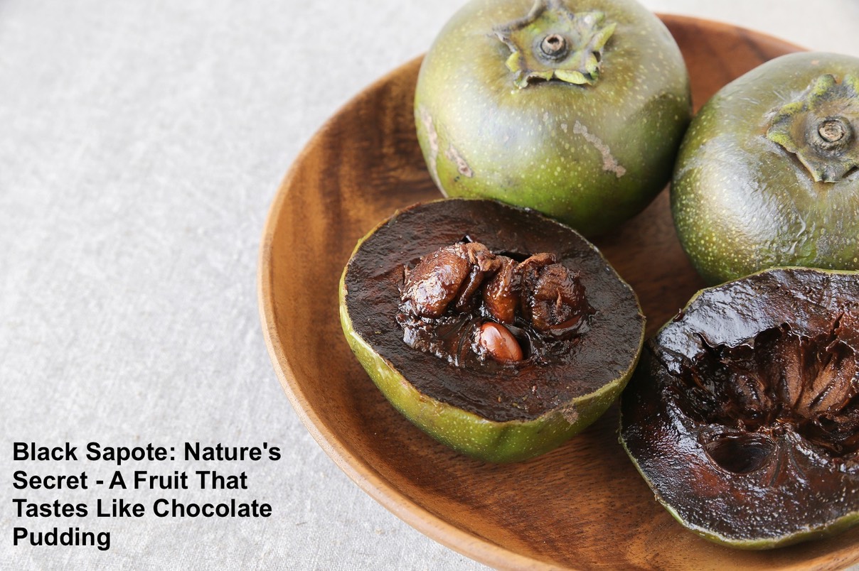 Black-Sapote-s